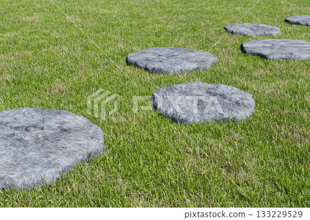 公園草地和石板路的CG圖像 公園草地和石板路的CG圖像 133229529