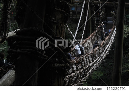 穿過德島祖谷的懸索橋 穿過德島祖谷的懸索橋 133229791
