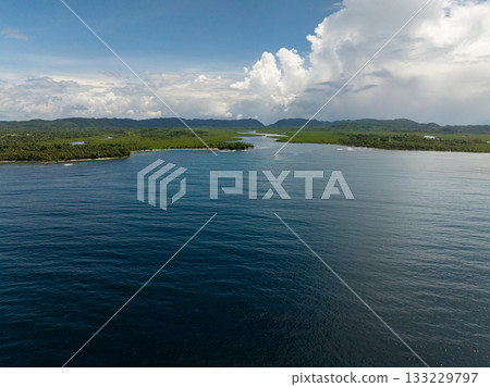 Aerial view of wide river flows through dense forest into the open ocean under a bright sky. Siargao, Philippines. 133229797