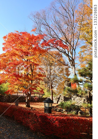 秋葉，長野縣，開光園 133229863