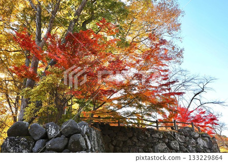 秋葉,長野縣,開光園 秋葉,長野縣,開光園 133229864