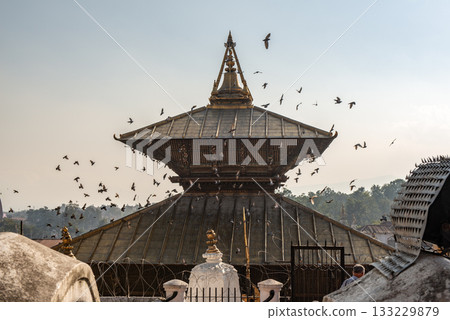 Birds flying over the main temple of Pashupatinath in Kathmandu, Nepal. This temple is a Hindu temple dedicated to Pashupati, a form of Shiva. Birds flying over the main temple of Pashupatinath in Kathmandu, Nepal. This temple is a Hindu temple dedicated to Pashupati, a form of Shiva. 133229879