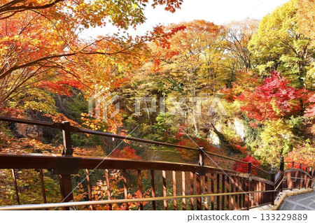 秋葉,清水寺,長野縣 秋葉,清水寺,長野縣 133229889