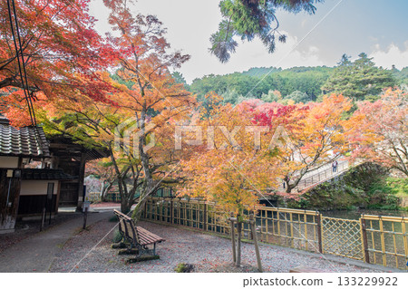 兵庫縣丹波市圓通寺的秋葉 133229922