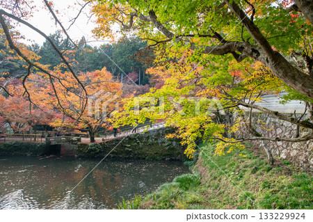 Autumn leaves of Entsuji Temple in Tamba City, Hyogo Prefecture Autumn leaves of Entsuji Temple in Tamba City, Hyogo Prefecture 133229924