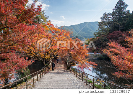 Autumn leaves of Entsuji Temple in Tamba City, Hyogo Prefecture 133229927