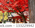 Autumn leaves, Kiyomizu-dera Temple, Nagano Prefecture 133229942
