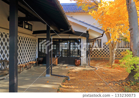 Autumn leaves at Matsumoto Folk Crafts Museum 133230073