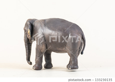 asian elephant on isolated background asian elephant on isolated background 133230135