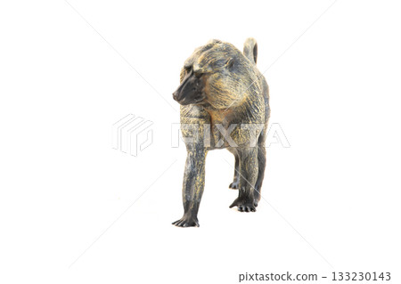 baboon animal on isolated background 133230143