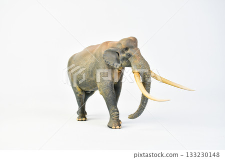 Stegodon animal on isolated background Stegodon animal on isolated background 133230148