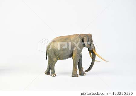 Stegodon animal on isolated background 133230150