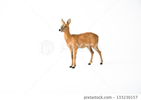 Roe Deer animal on isolated background Roe Deer animal on isolated background 133230157