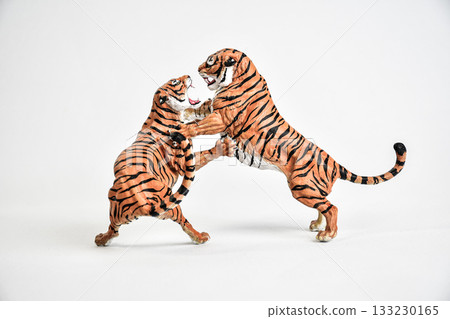 tiger animal on isolated background 133230165