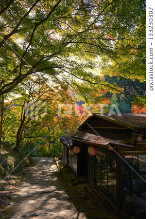 Autumn leaves at Takao Jingoji Temple in Kyoto 133230307