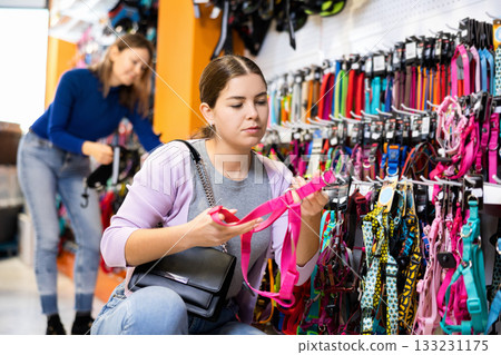 Young female customer picking out dog harness in pet store Young female customer picking out dog harness in pet store 133231175