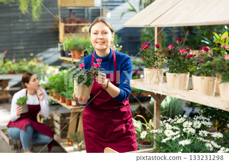 Woman seller holding miniathyrros rose in flower shop 133231298