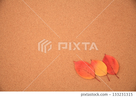 Leaves of autumn leaves Leaves of autumn leaves 133231315