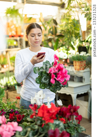 visitor to flower shop scans QR code on label of exotic cyclamen 133231328