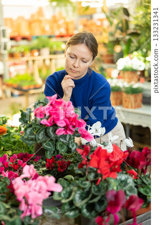 Woman buying cyclamen at flower shop 133231341