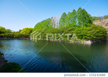 Scenery of Osaka Castle Park Scenery of Osaka Castle Park 133232880