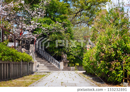 春天的真田山三光神社 133232891
