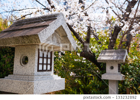 Sanadayama Sanko Shrine in Spring 133232892
