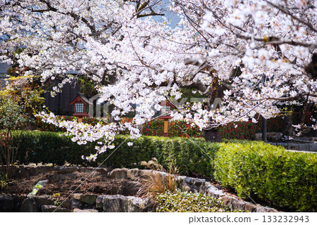 Scenery of Shitennoji Temple 133232943