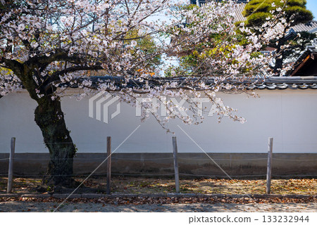 四天王寺的風景 133232944