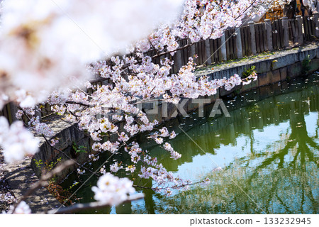 四天王寺的風景 133232945