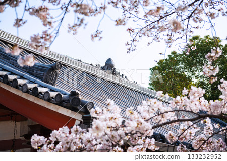 四天王寺的風景 四天王寺的風景 133232952