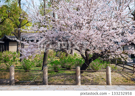 四天王寺的風景 四天王寺的風景 133232958