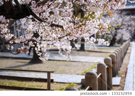 四天王寺的風景 四天王寺的風景 133232959