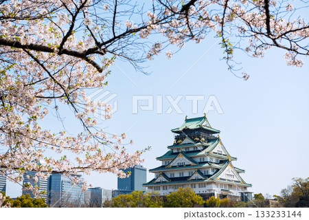 大阪城公園的春景 大阪城公園的春景 133233144