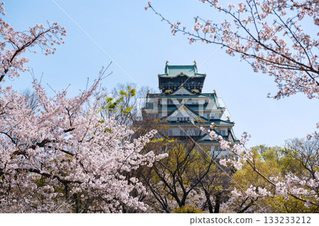 大阪城公園的春景 133233212