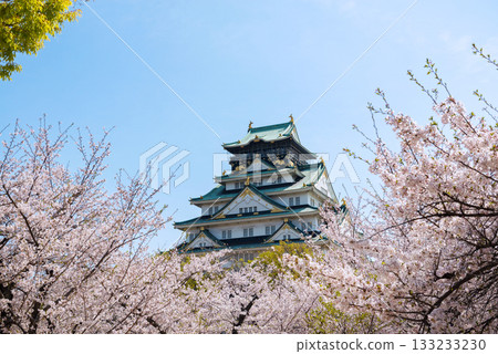 Spring scenery of Osaka Castle Park 133233230