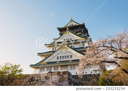 Spring scenery of Osaka Castle Park Spring scenery of Osaka Castle Park 133233254
