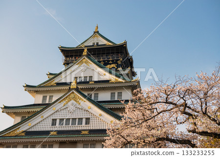 Spring scenery of Osaka Castle Park Spring scenery of Osaka Castle Park 133233255
