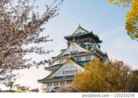 大阪城公園的春景 大阪城公園的春景 133233256