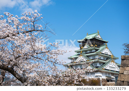 Spring scenery of Osaka Castle Park Spring scenery of Osaka Castle Park 133233279
