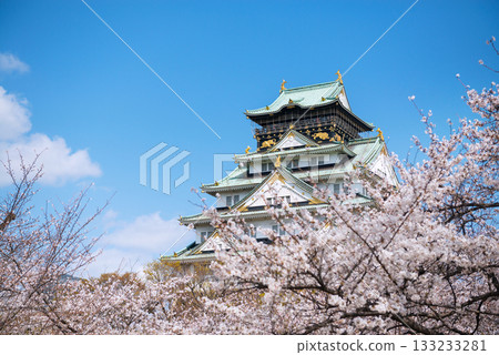 大阪城公園的春景 大阪城公園的春景 133233281