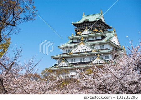 大阪城公園的春景 133233290