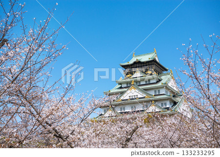 大阪城公園的春景 133233295