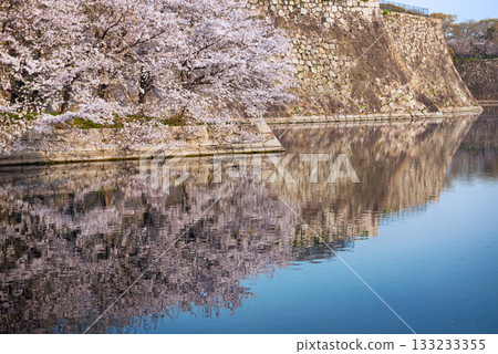 Spring scenery of Osaka Castle Park Spring scenery of Osaka Castle Park 133233355