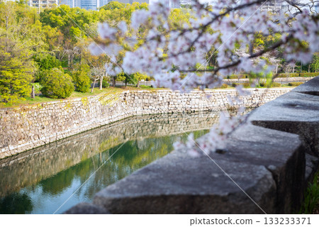 大阪城公園的春景 大阪城公園的春景 133233371