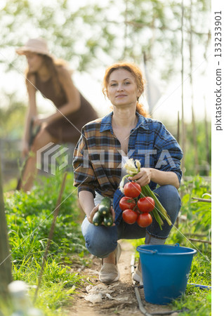 Woman shows off her harvest of zucchini, red tomatoes and green onions 133233901