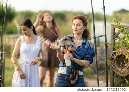 Three women applying repellent in cottage garden Three women applying repellent in cottage garden 133233902