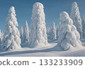 Juhyo: A beautiful winter scene, snow-covered forests and blue skies 133233909