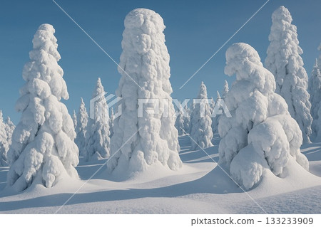 Juhyo: A beautiful winter scene, snow-covered forests and blue skies 133233909