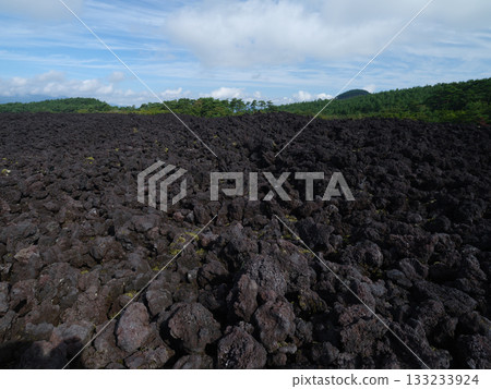 燒橋熔岩流~岩手山(特別天然紀念物) 燒橋熔岩流~岩手山(特別天然紀念物) 133233924